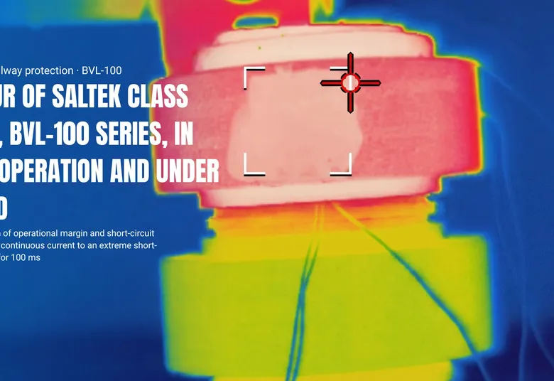 BEHAVIOUR OF SALTEK CLASS 2.2 VLDs, BVL-100 SERIES, IN NORMAL OPERATION AND UNDER OVERLOAD