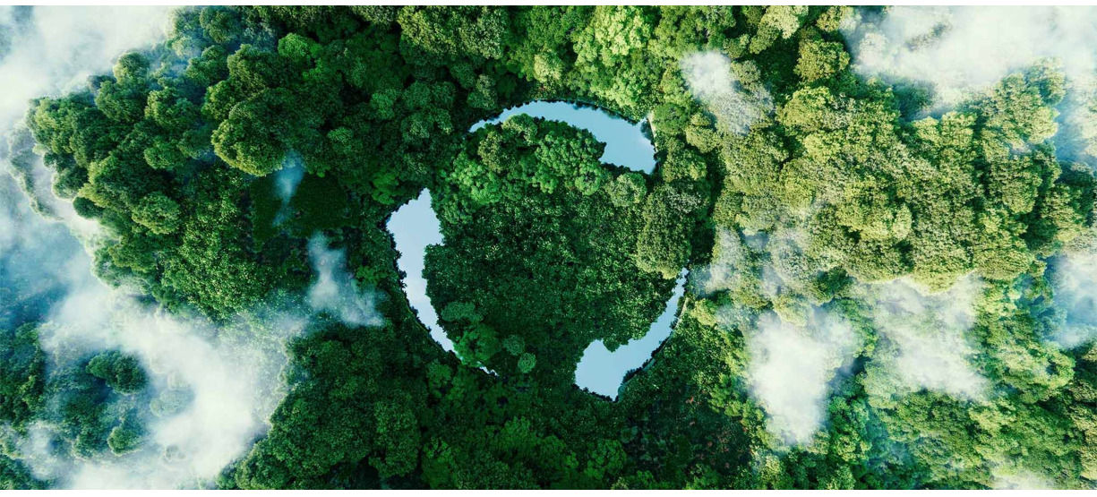 Environmental information