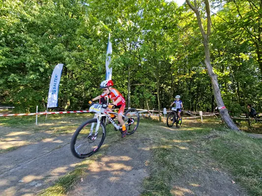 Supported projects 2024: